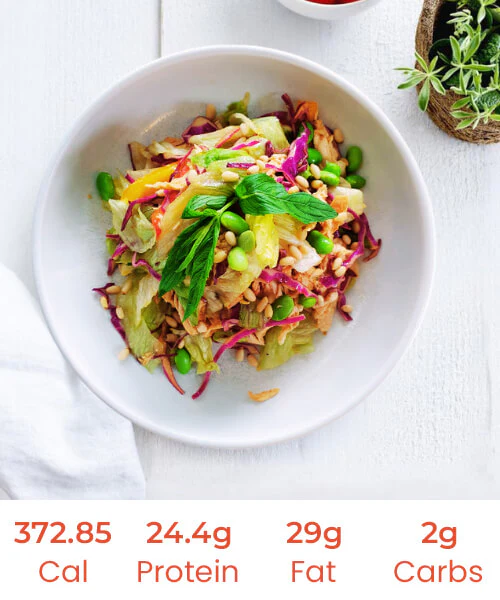 Asian Flavoured Aroma Chicken Salad - Image 2