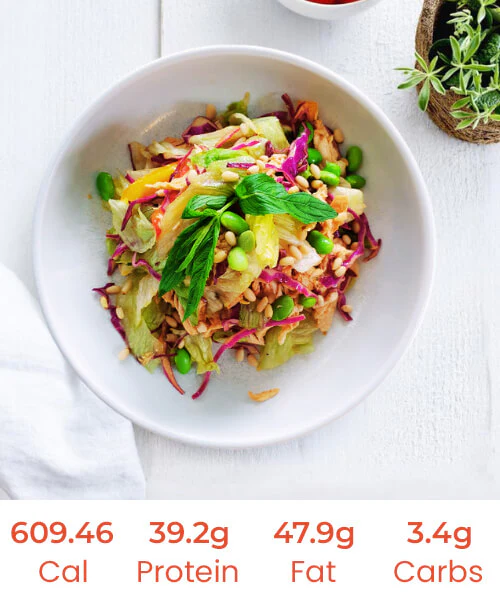 Asian Flavoured Aroma Chicken Salad - Image 3